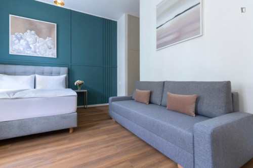 Large and cosy studio in Vinohrady