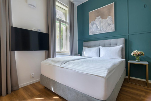 Large and cosy studio in Vinohrady