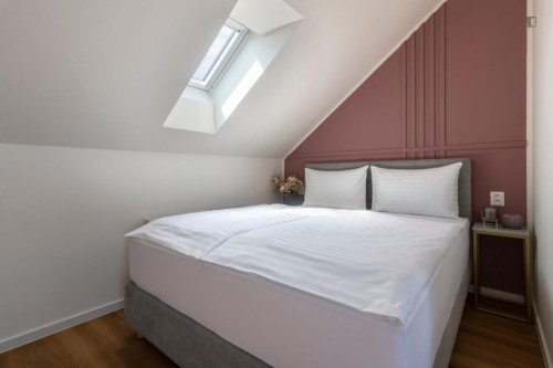 Ample and nice 1-bedroom apartment with a terrace, in Vinohrady