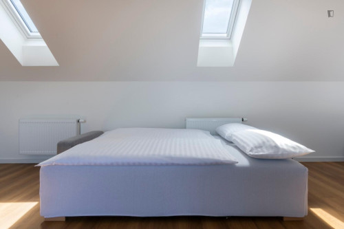 Ample and nice 1-bedroom apartment with a terrace, in Vinohrady