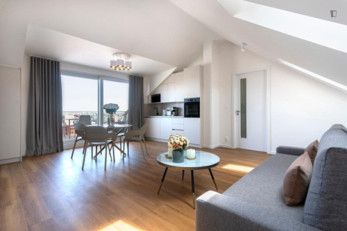 Ample and nice 1-bedroom apartment with a terrace, in Vinohrady