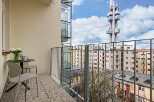 Appealing 1-bedroom apartment in the Vinohrady district