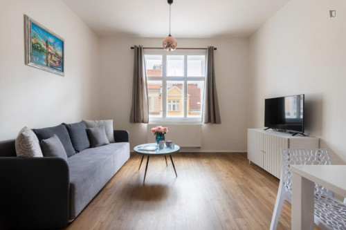 Appealing 1-bedroom apartment in the Vinohrady district