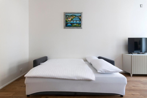 Tasteful studio in the Vinohrady district