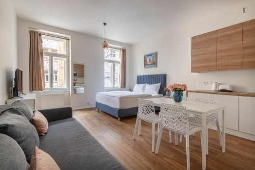 Tasteful studio in the Vinohrady district
