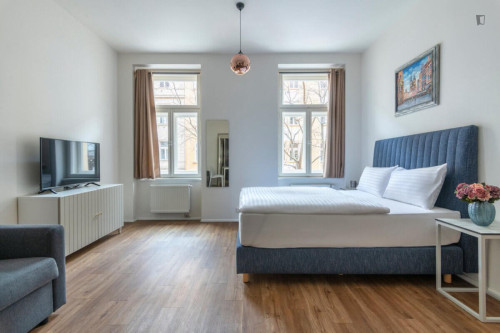 Tasteful studio in the Vinohrady district