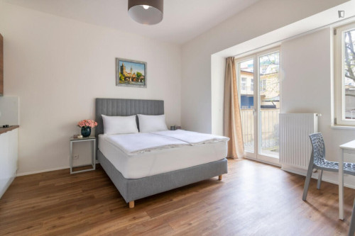 Very charming studio near the Riegrovy Sady park