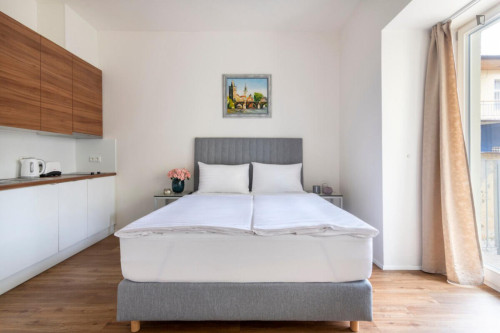 Very charming studio near the Riegrovy Sady park