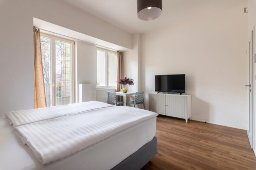 Very charming studio near the Riegrovy Sady park