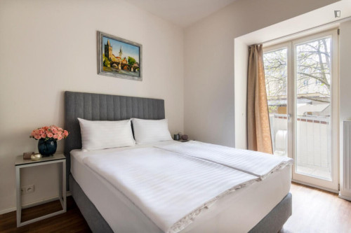 Very charming studio near the Riegrovy Sady park