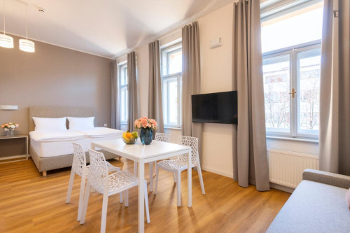 Wonderful studio in Vinohrady  - Gallery -  5