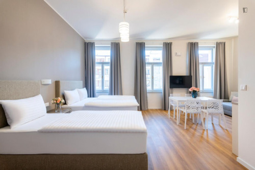 Wonderful studio in Vinohrady