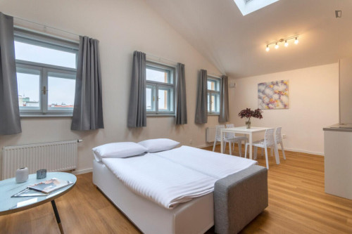 Lovely 1-bedroom flat in Vinohrady  - Gallery -  5
