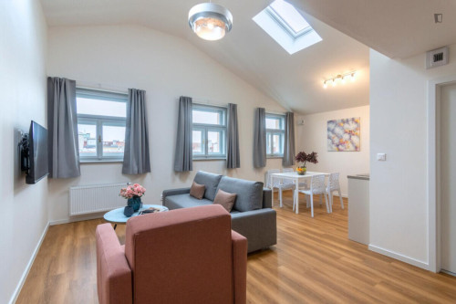 Lovely 1-bedroom flat in Vinohrady