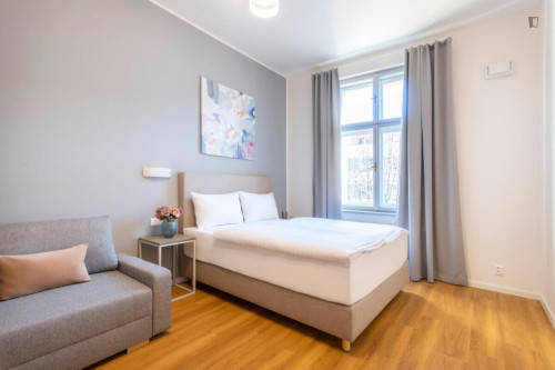 Elegant studio in the Vinohrady district