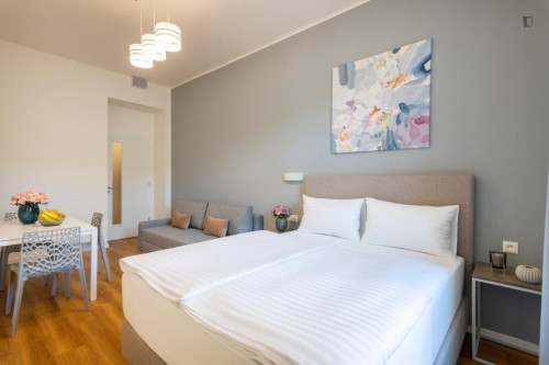 Elegant studio in the Vinohrady district