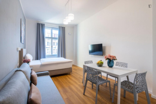 Elegant studio in the Vinohrady district