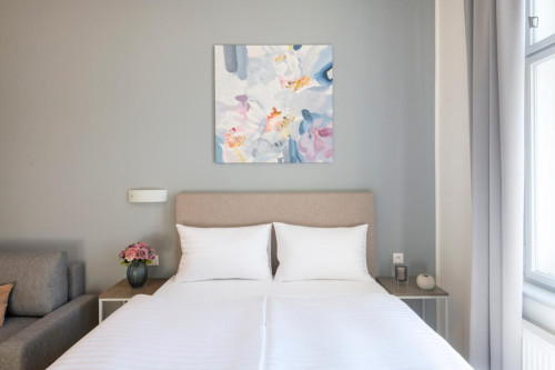 Elegant studio in the Vinohrady district