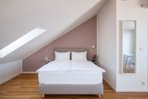 Excellent studio with a terrace, in the Vinohrady district