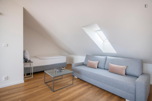 Excellent studio with a terrace, in the Vinohrady district