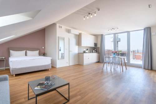 Excellent studio with a terrace, in the Vinohrady district