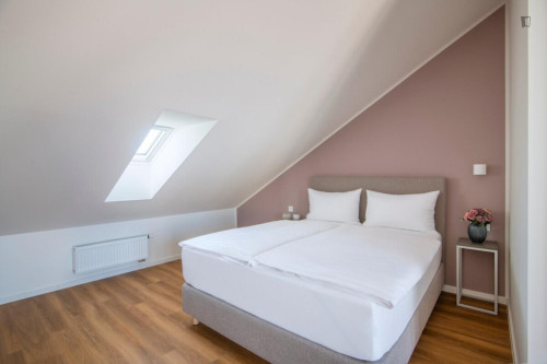 Excellent studio with a terrace, in the Vinohrady district