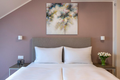 Exquisite studio in Vinohrady