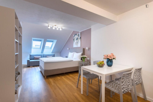 Exquisite studio in Vinohrady