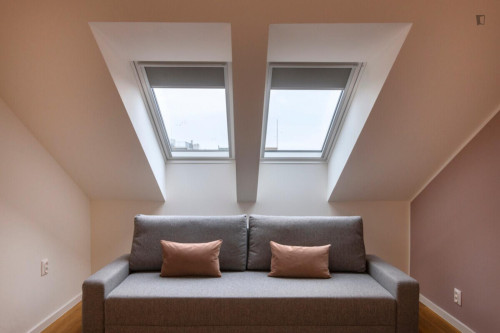 Exquisite studio in Vinohrady