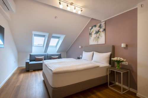 Exquisite studio in Vinohrady