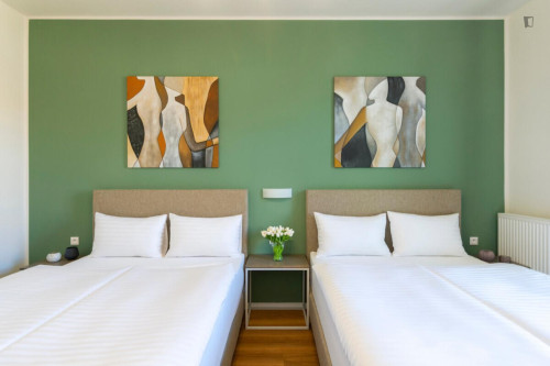 Charming 1-bedroom apartment in Vinohrady