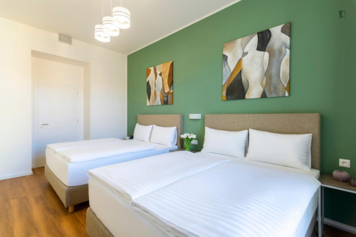 Charming 1-bedroom apartment in Vinohrady