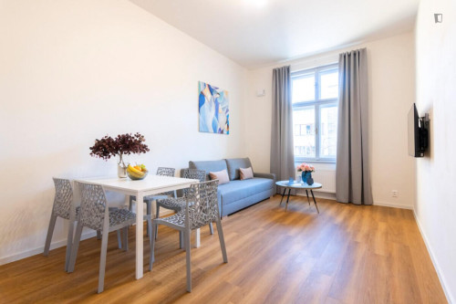 Tasteful 1-bedroom apartment in Vinohrady