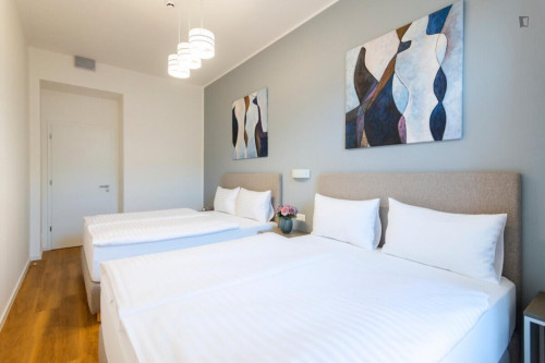 Tasteful 1-bedroom apartment in Vinohrady