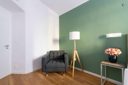 Very cool 1-bedroom apartment in Vinohrady