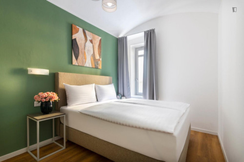 Very cool 1-bedroom apartment in Vinohrady