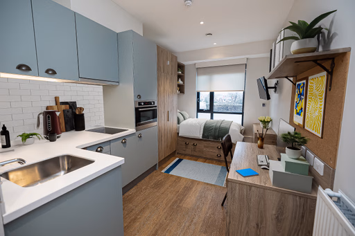  Silver Studio  -  Canvas Quintana Gate  - Gallery -  4