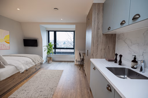  Gold Studio  -  Canvas Quintana Gate  - Gallery -  4