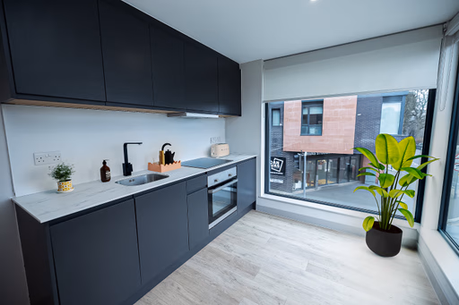  Platinum Studio  -  Canvas Quintana Gate  - Gallery -  3