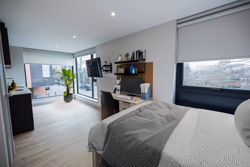  Platinum Studio  -  Canvas Quintana Gate  - Gallery -  2