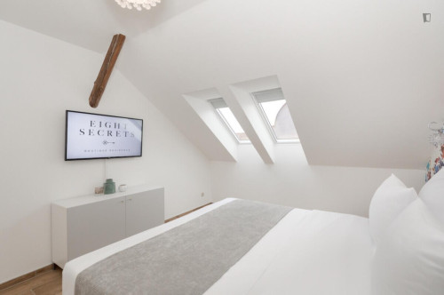 Tasteful 2-bedroom apartment in the Vinohrady district