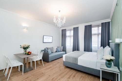 Very comfy studio in the Vinohrady district