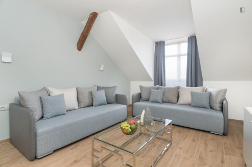 Stupendous 3-bedroom apartment in Vinohrady