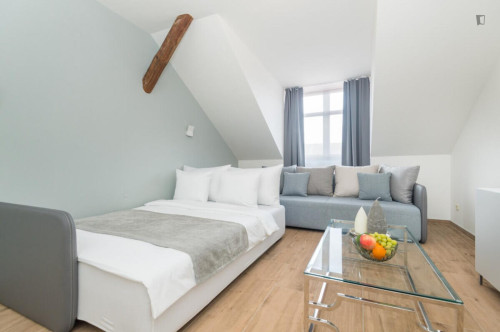 Stupendous 3-bedroom apartment in Vinohrady