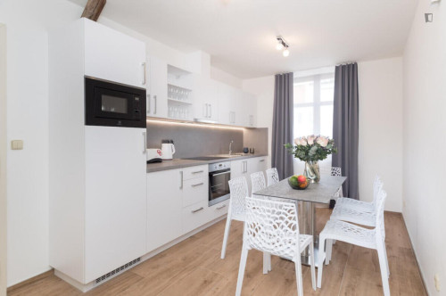 Stupendous 3-bedroom apartment in Vinohrady  - Gallery -  5