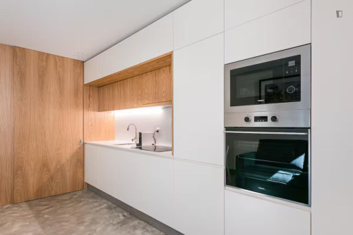 Stylishly designed flat in the city centre