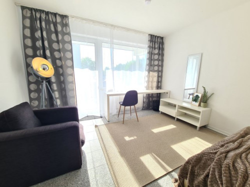 Bright, modern apartment in Kaiserslautern - Gallery - 15