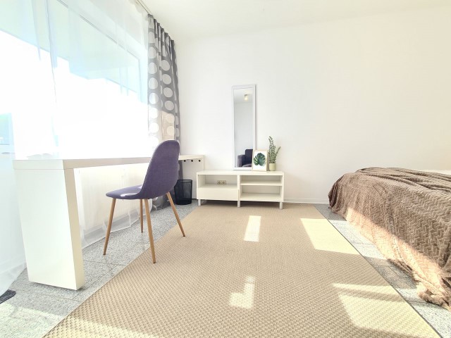 Bright, Modern Apartment In Kaiserslautern - Bright, modern apartment in Kaiserslautern - Gallery - 17