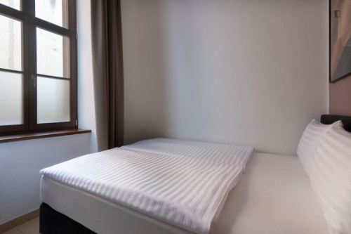 Charismatic 1-bedroom apartment in Vinohrady