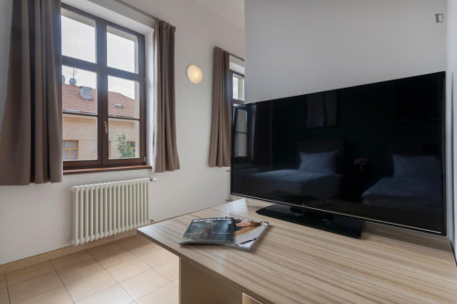 Grand studio in Vinohrady